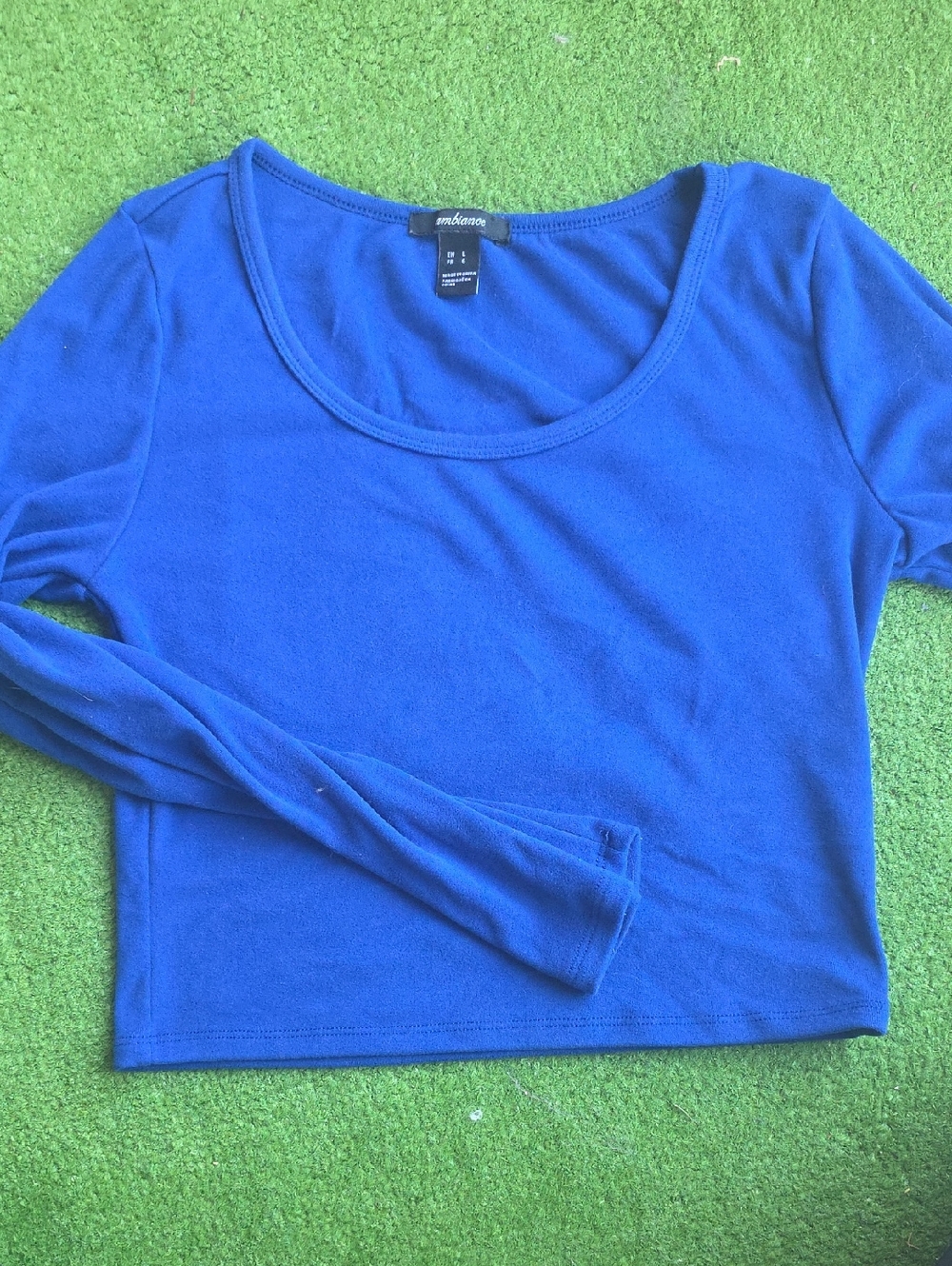 Soft Blue Scoop Neck Long Sleeve Crop Top (Brushed Material, Extra Soft)